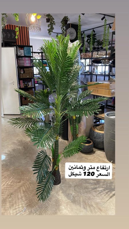 شجر ديكور