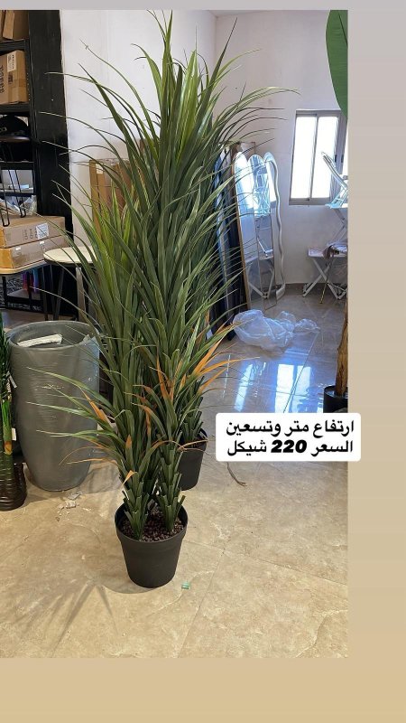 شجر ديكور