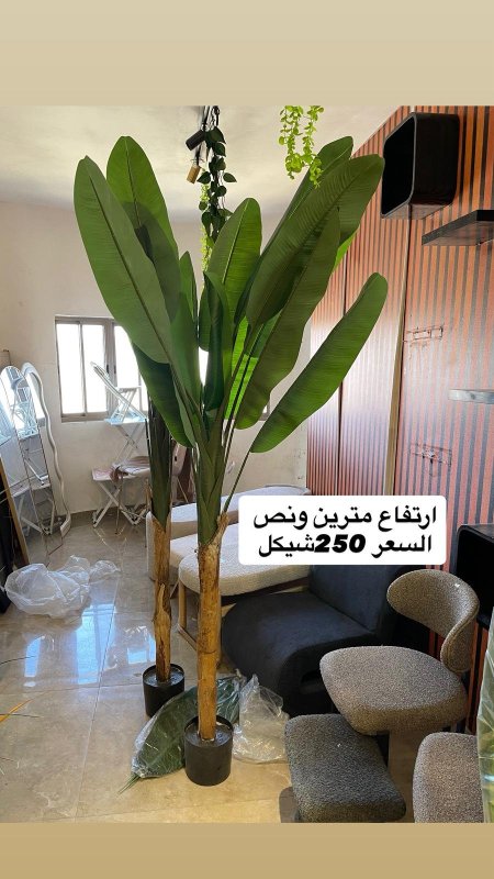 شجر ديكور